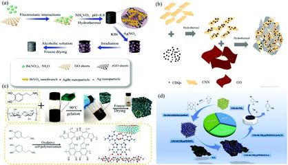 二維材料基氣凝膠的合成、功能調(diào)控及其在環(huán)境檢測(cè)和修復(fù)領(lǐng)域的應(yīng)用-納孚生物