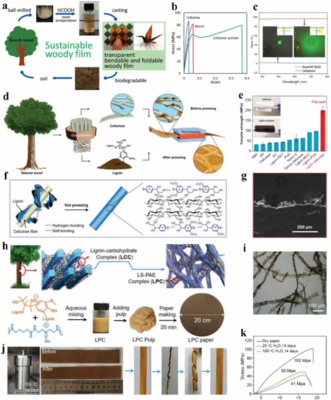 Green Chemistry綜述:先進(jìn)、多功能木質(zhì)素基生物降解復(fù)合膜材料助力可持續(xù)發(fā)展