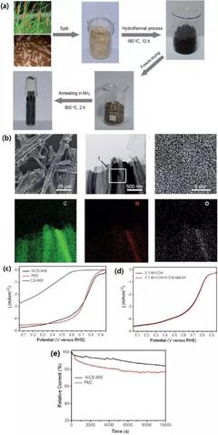 中科大俞漢青EES綜述:生物碳基材料在能量儲存與轉(zhuǎn)換中的應(yīng)用