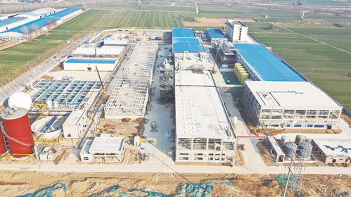 濮陽文明網(wǎng)