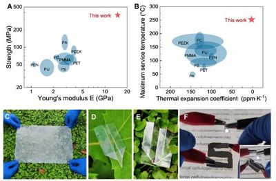 中國科大俞書宏院士團隊研制可降解仿生透明薄膜